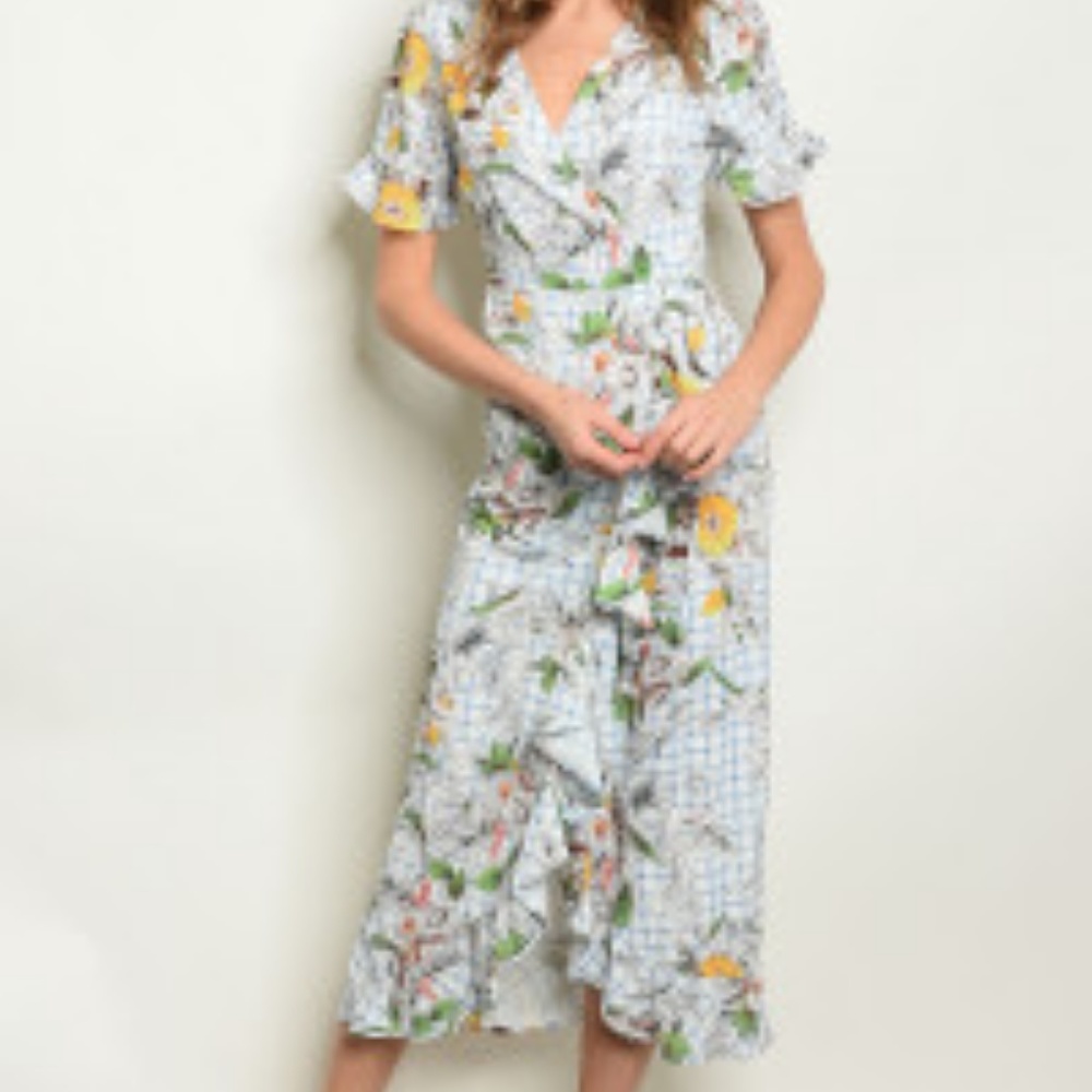 IVORY & BLUE FLORAL DRESS - Picture 2 of 8